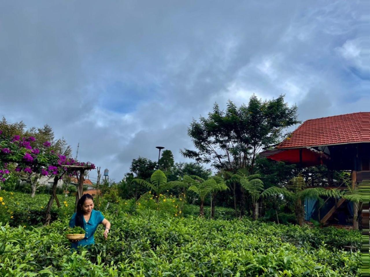 Tea Garden House Βίλα Bao Loc Εξωτερικό φωτογραφία