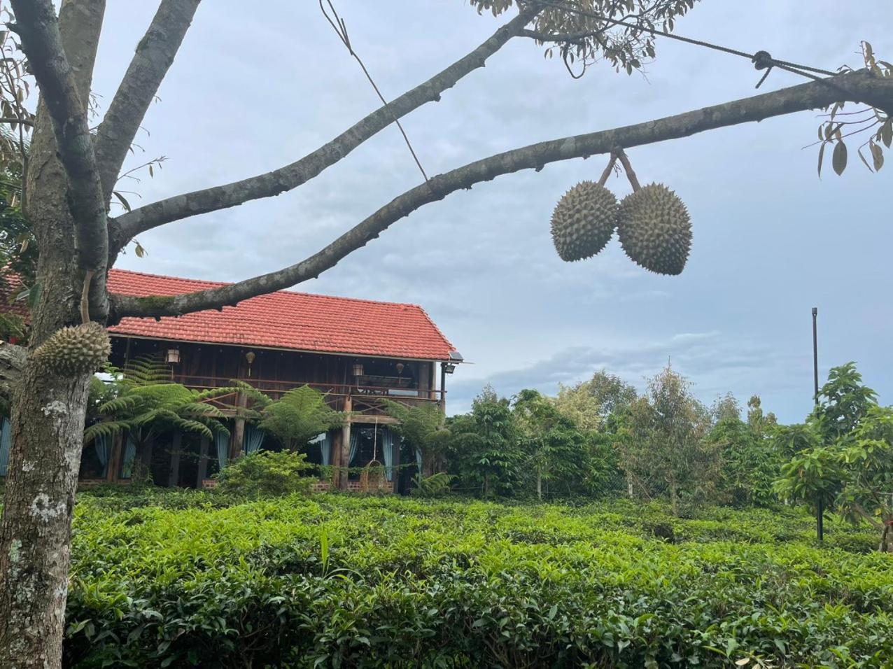 Tea Garden House Βίλα Bao Loc Εξωτερικό φωτογραφία
