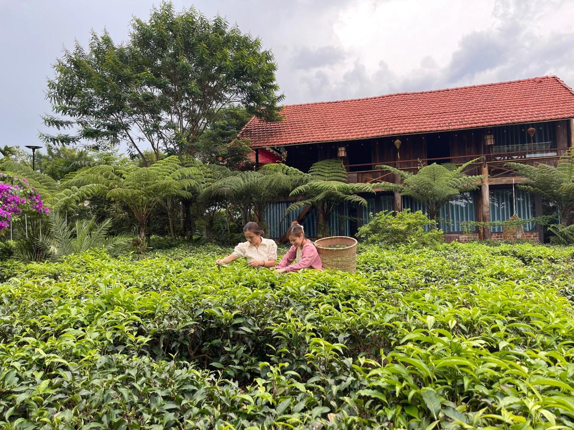 Tea Garden House Βίλα Bao Loc Εξωτερικό φωτογραφία