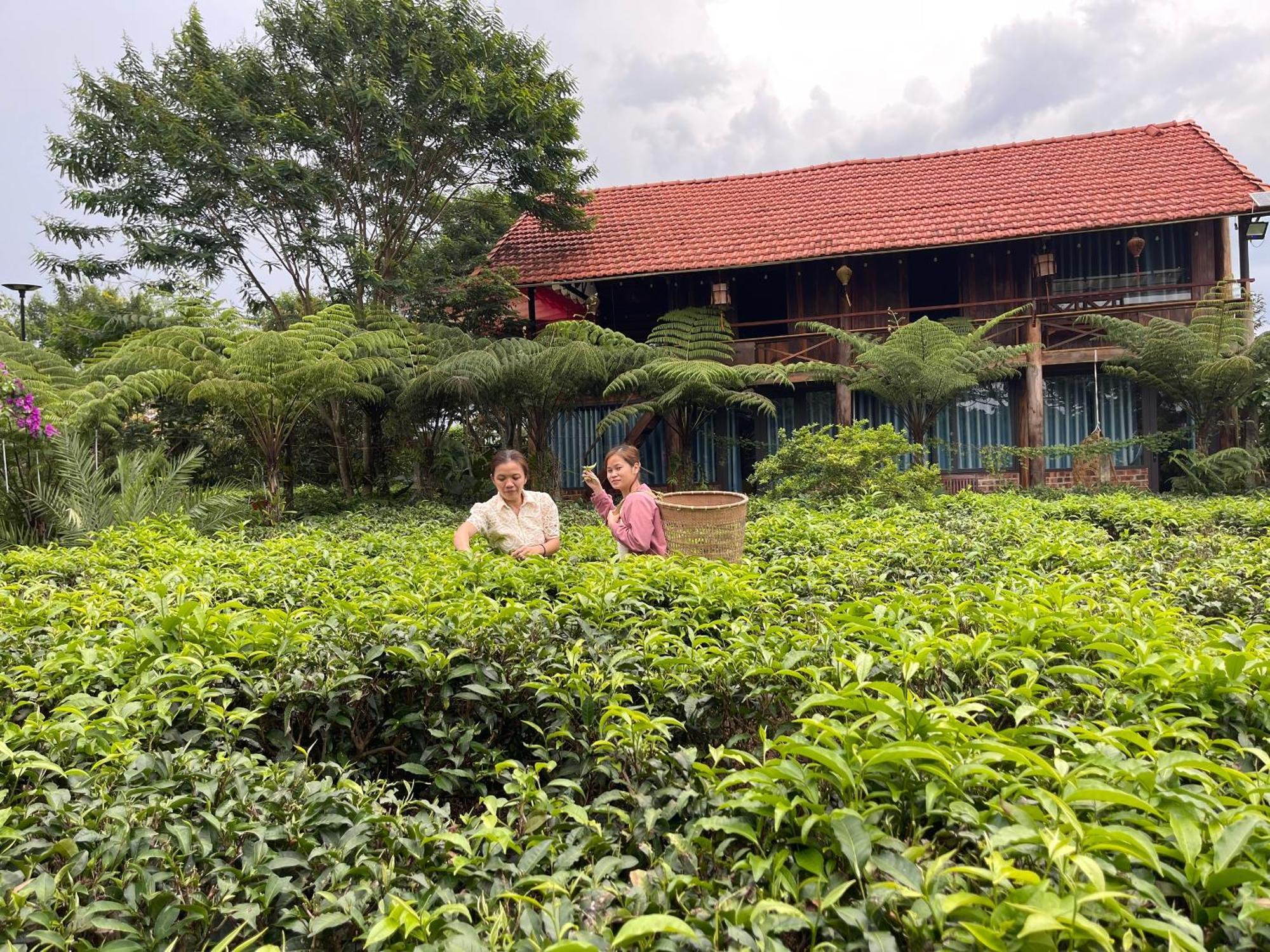 Tea Garden House Βίλα Bao Loc Εξωτερικό φωτογραφία