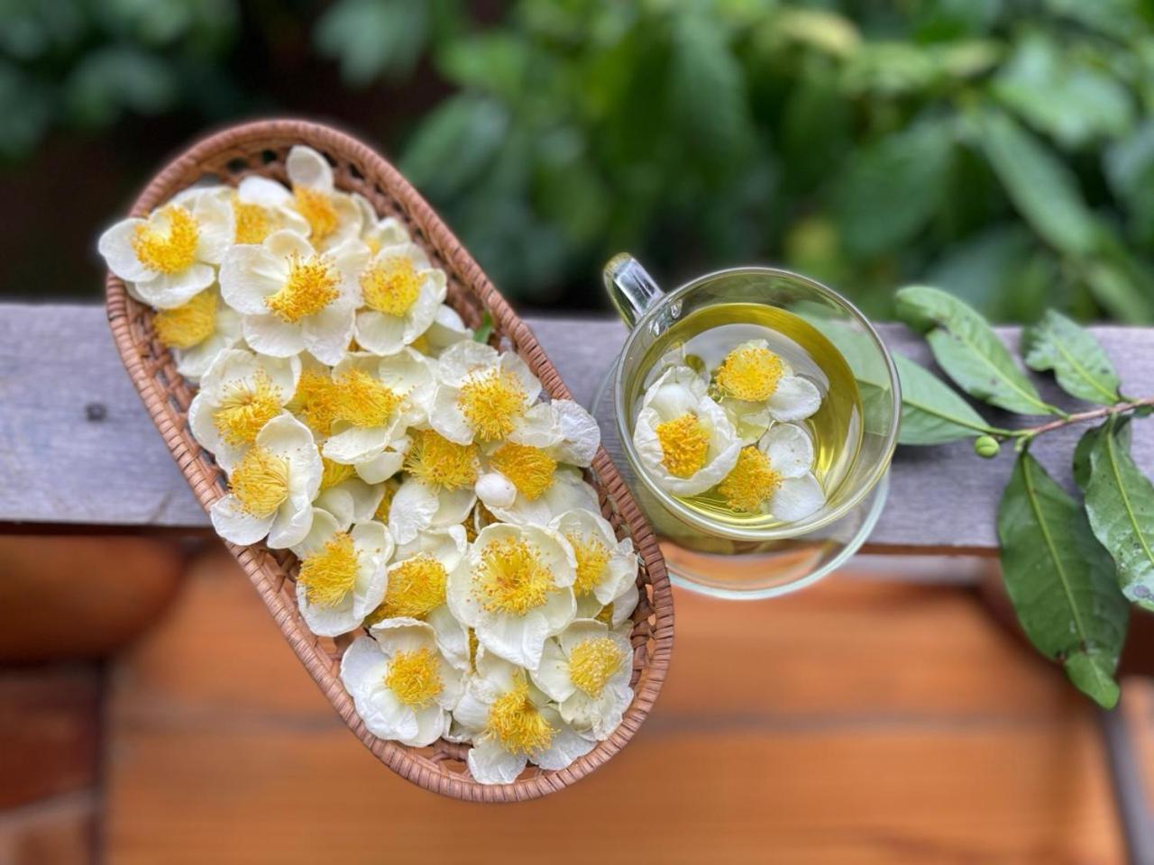 Tea Garden House Βίλα Bao Loc Εξωτερικό φωτογραφία