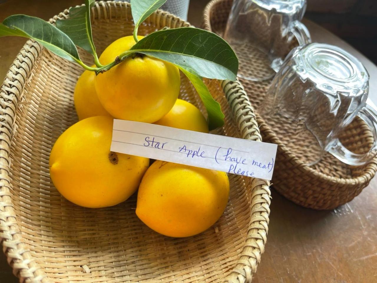 Tea Garden House Βίλα Bao Loc Εξωτερικό φωτογραφία