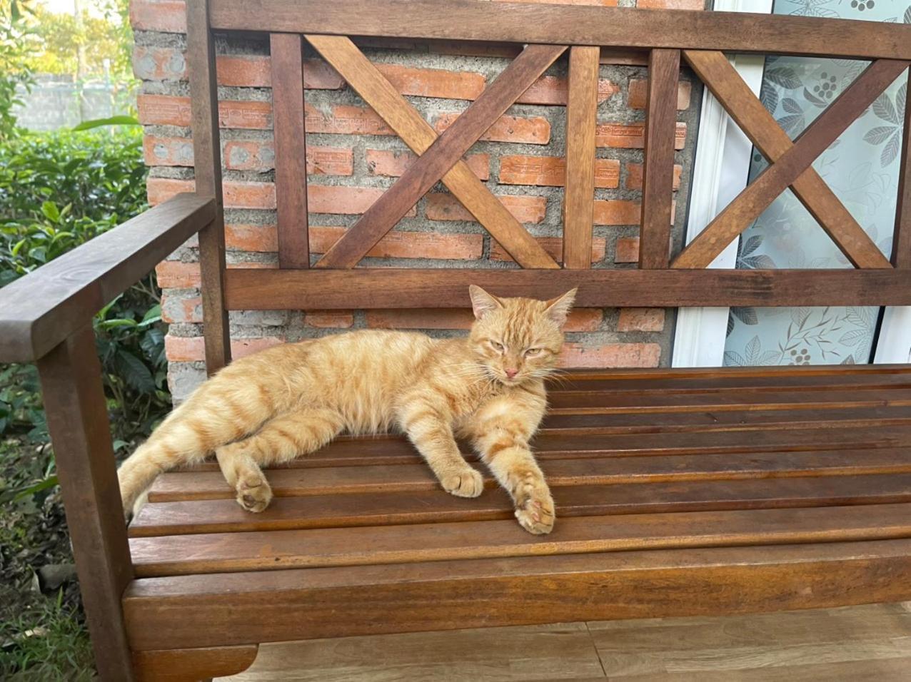 Tea Garden House Βίλα Bao Loc Εξωτερικό φωτογραφία