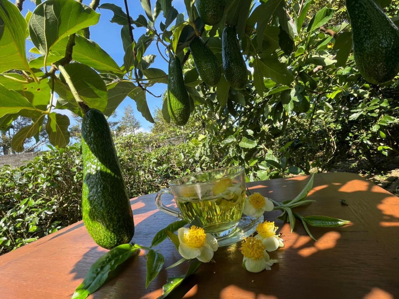 Tea Garden House Βίλα Bao Loc Εξωτερικό φωτογραφία